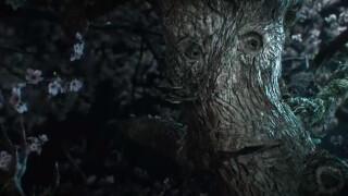 Ents in "Der Herr der Ringe: Die Ringe der Macht" Staffel 2