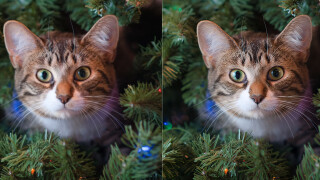 VideoProc Converter AI Gen Detail v2