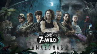 Amazon Prime Video Top 10: Die aktuell beliebtesten Serien des Streamingdienstes