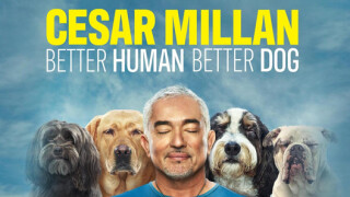 Cesar Millan: Guter Mensch, guter Hund: So seht ihr die National Geographic WILD-Sendung im TV und Stream - alle Sendetermine