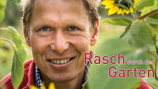 Rasch durch den Garten - Gärtnern für jedermann: So seht ihr die NDR-Sendung im TV und Stream - alle Sendetermine