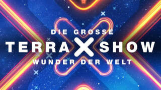 Die große Terra X-Show: So seht ihr die ZDF-Quizshow im TV und Stream - alle Sendetermine