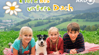 Tiere bis unters Dach: Familienserie im TV und Stream - alle Sendetermine