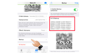Erweiterte Einstellungen mit Backup und Privatsphäre-Settings