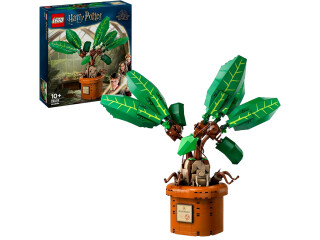 Lego Harry Potter 76433 - Zaubertrankpflanze: Alraune bei Alternate