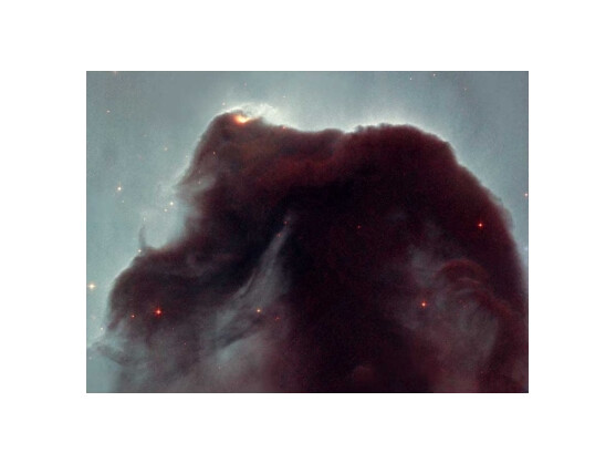 Der Pferdekopfnebel ist eines der berühmtesten Hubble-Bilder, aufgenommen mit der Wide Field and Planetary Camera 2 (WFPC2).
