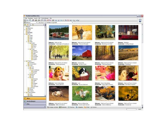 Image Result For Paint Net Download Netzwelt Image Result For Paint Net Download Netzwelt