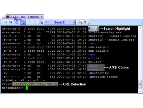 SmartFTP bietet einen praktischen Terminal für SSH-Verbindungen.