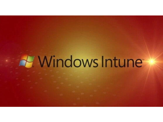 Windows Intune ermöglicht eine zentrale Steuerung mehrerer PCs im Web.