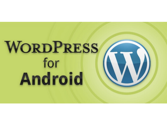 WordPress-Apps sind für alle großen Betriebssysteme erhältlich.