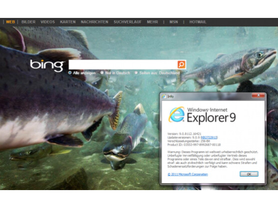 Das BSI warnt vor massiven Sicherheitslücken im Internet Explorer 6 bis 9.