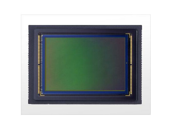 Der CMOS-Sensor der Canon EOS 5D Mark II.
