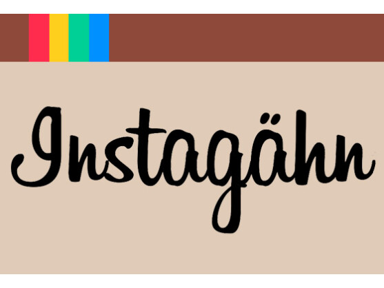 Geht Ihnen Instagram schon auf die Nerven?