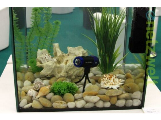 Ion Air Pro WiFi im Aquarium.