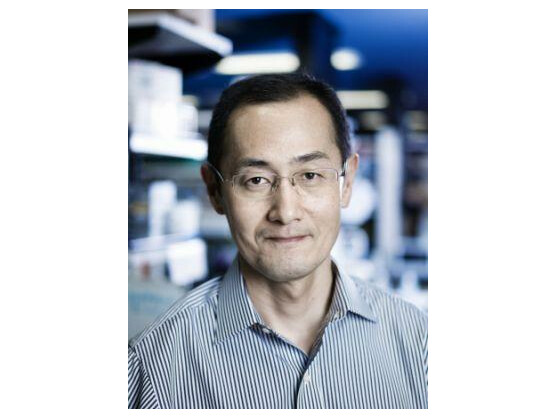 Auch der japanische Stammzellenforscher Shinya Yamanaka hat gute Chancen, den Millennium-Technologiepreis zu gewinnen.