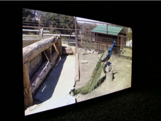 Panasonic entwickelte den 145-Zoll-Fernseher in Kooperation mit NHK.