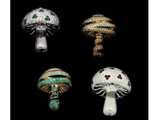 In so einem Diamant-Pilz ist der USB-Stick von La Maison Shawish verborgen.