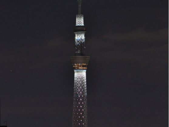 Der Tokio Sky Tree ist schon fast fertig.