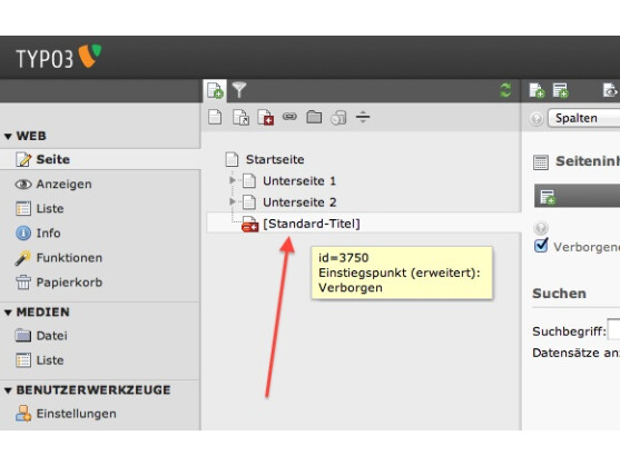 TYPO3 kann problemlos mehrere sogenannte Einstiegspunkte verwalten.
