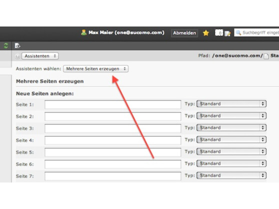 Für die Verwaltung mehrerer Webseiten sind viele Einzelseiten nötig.