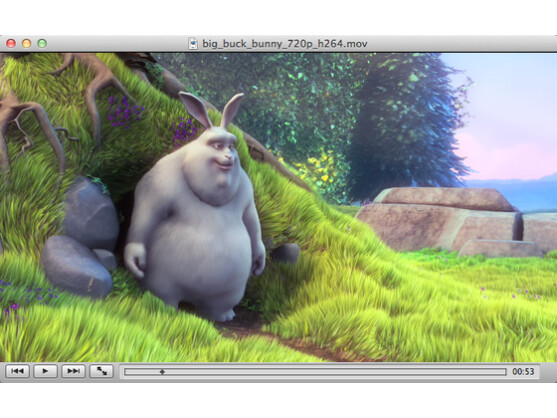 Der VLC-Player spielt nahezu jedes Format ab.