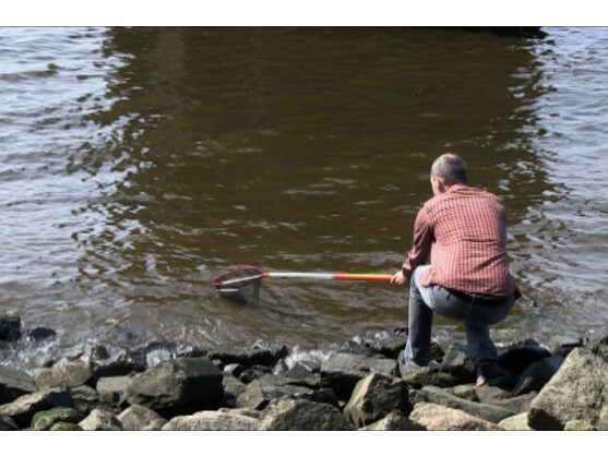 Auch ein Bad in der Elbe...
