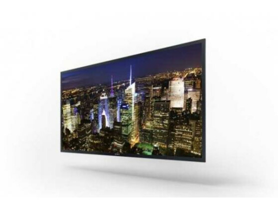 Ein Prototyp: Sony zeigt auf der CES den angeblich ersten und größten OLED-TV mit 4K-Auflösung.