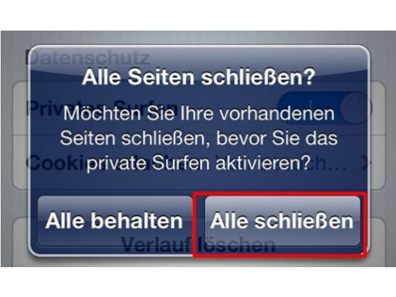 Alle Seiten schließen?