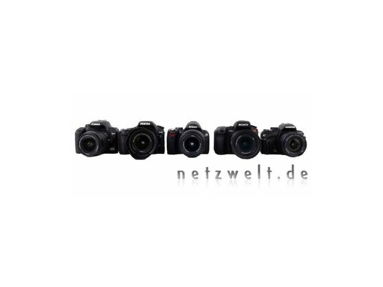 Von links nach rechts: Canon EOS 1000D, Pentax K200D, Nikon D60, Sony Alpha 350 und Olympus E-420.