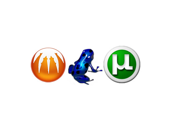 Können verschlüsselt werden: Azureus, BitComet und µTorrent.