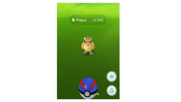In Pokémon GO taucht das Wesen Taubsi (englisch: Pidgey) nur noch selten auf. Viele Spieler äußern sich verärgert über diesen Umstand.