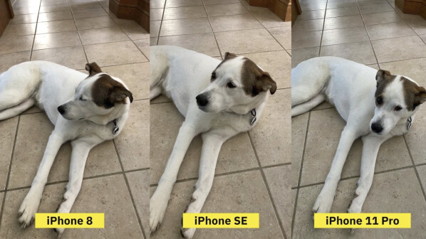 Under good lighting conditions, the difference in image quality is small. The image of iPhone 11 Pro is  clearer.