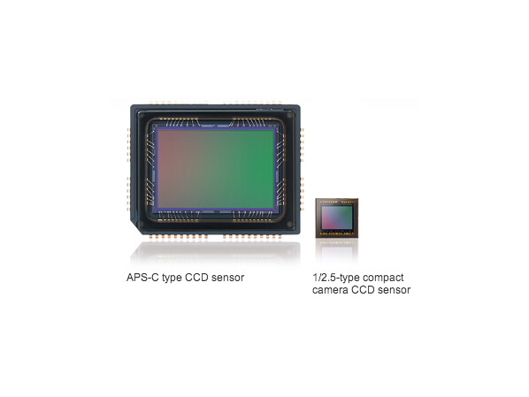 CCD-Sensoren von Sony.