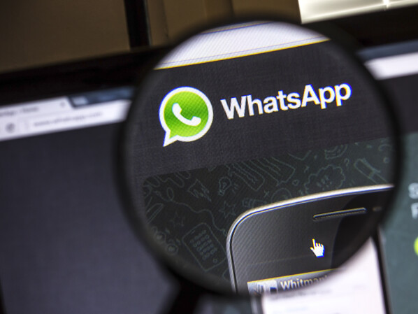 WhatsApp  tests password protection of backups.