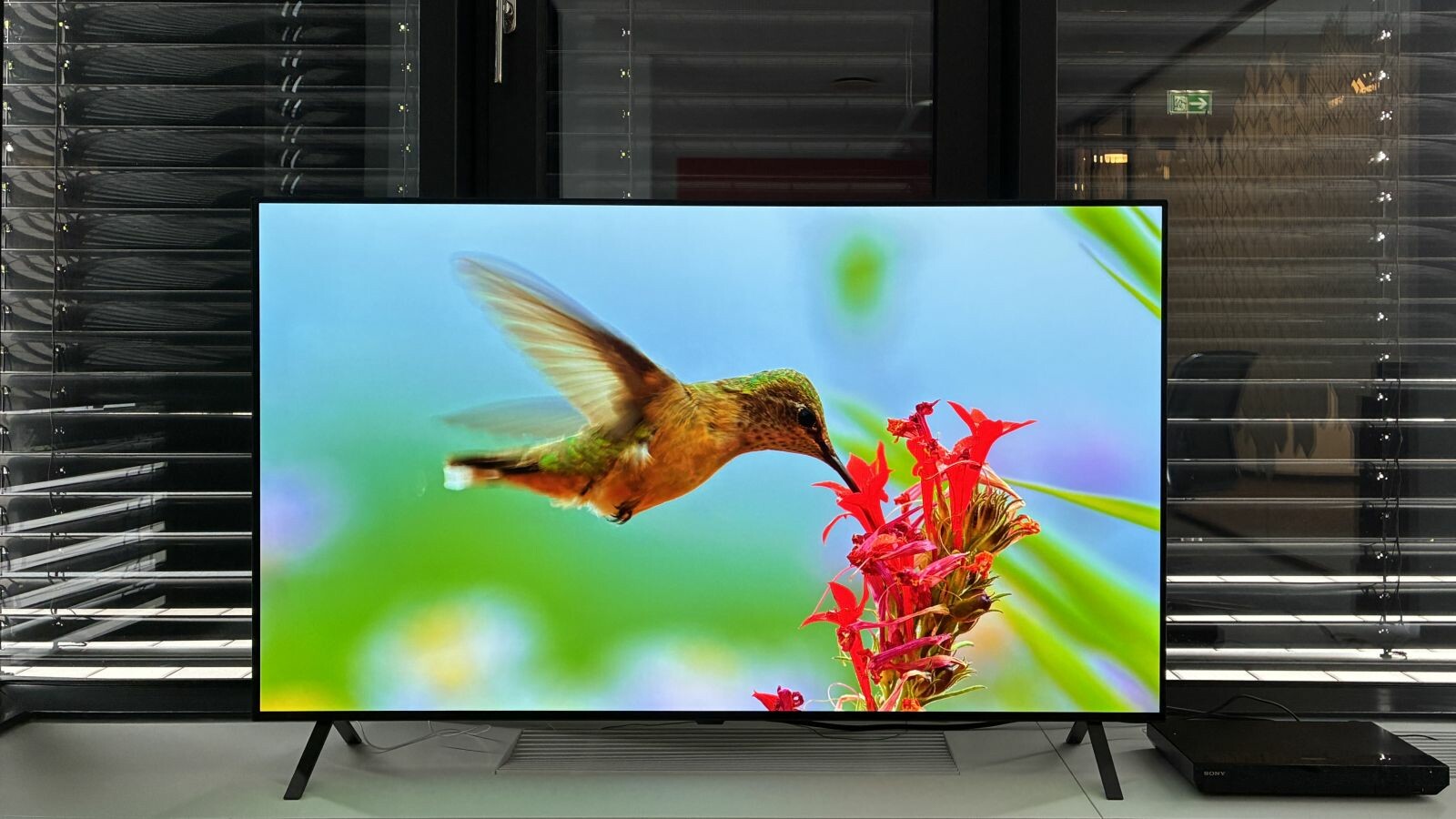 Knackige Farben, saubere Bewegungen - der LG OLED B5 ist mit seiner Bildqualität nah an den Top-Geräten.