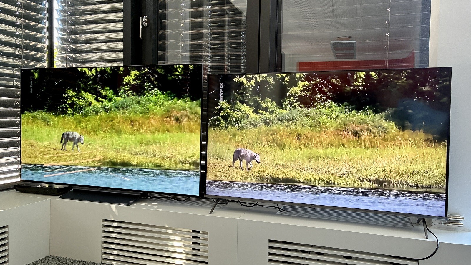 OLED und LCD im Vergleich: Der OLED (links) zeigt Farben natürlicher, der LCD fahler. Mit zunehmendem Betrachtungswinkel nimmt der Unterschied weiter zu.