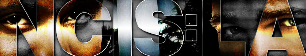 Navy CIS: L.A. Banner