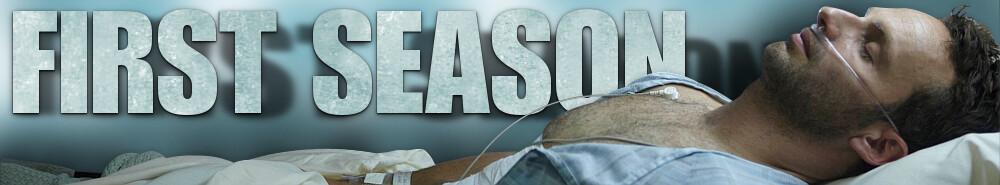 The Walking Dead Banner