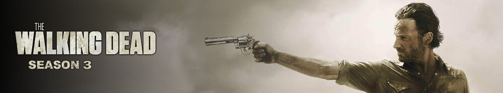 The Walking Dead Banner