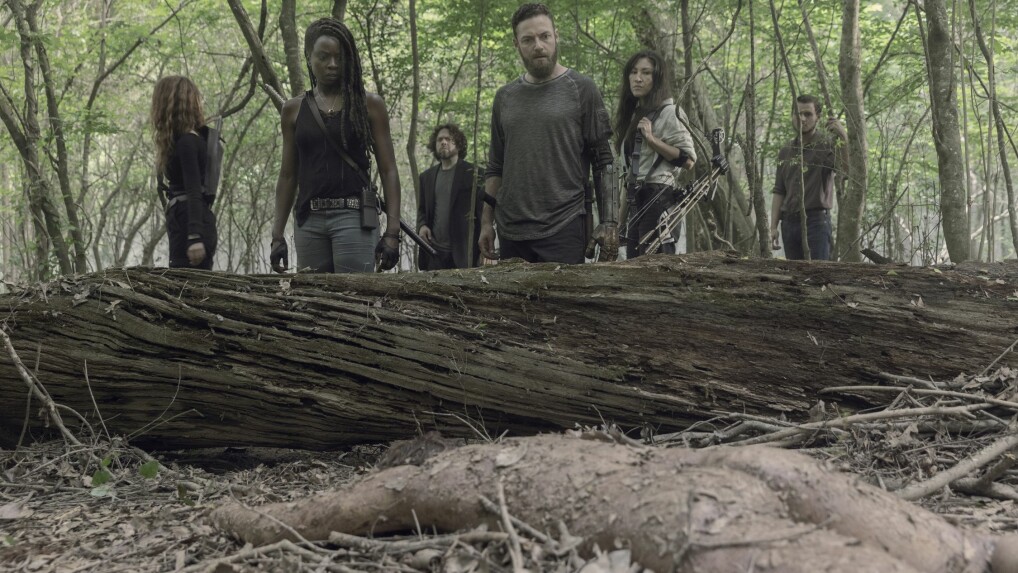 The Walking Dead Staffeln und Episodenguide News NETZWELT