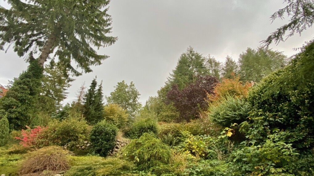 iPhone 11 Pro (Testbilder) - Bild 3 von 6