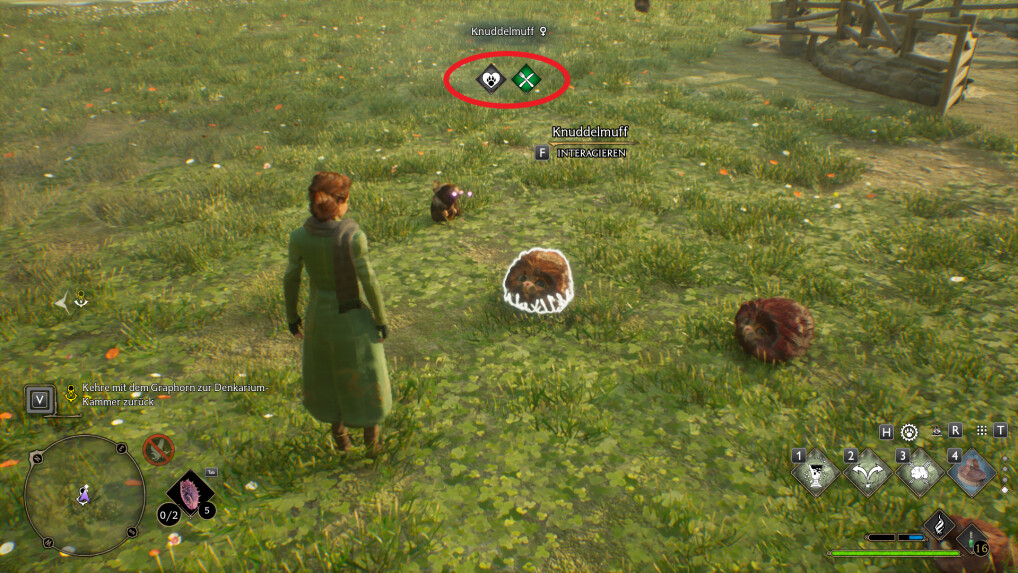 Hogwarts Legacy So wertet ihr eure Ausrüstung auf NETZWELT