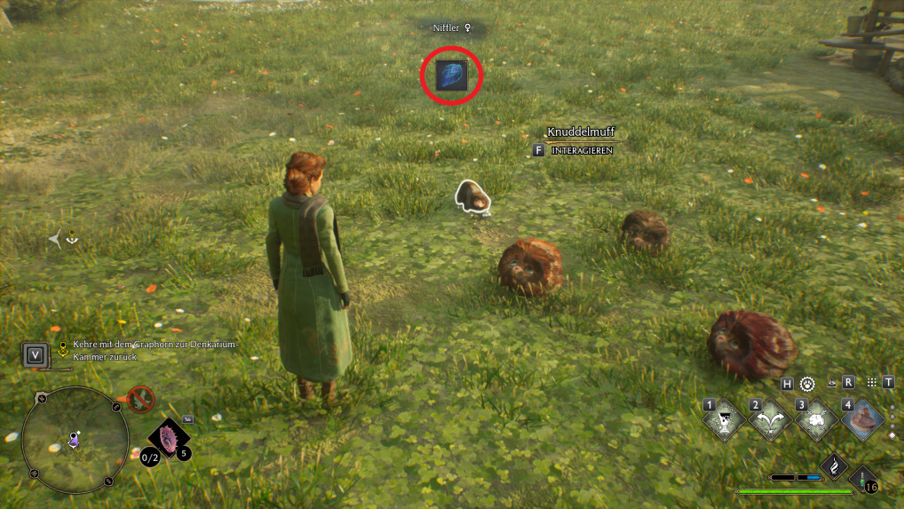 Hogwarts Legacy So wertet ihr eure Ausrüstung auf NETZWELT