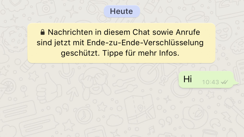 WhatsApp Haken: Das Bedeuten Häkchen Bei Den Nachrichten | NETZWELT