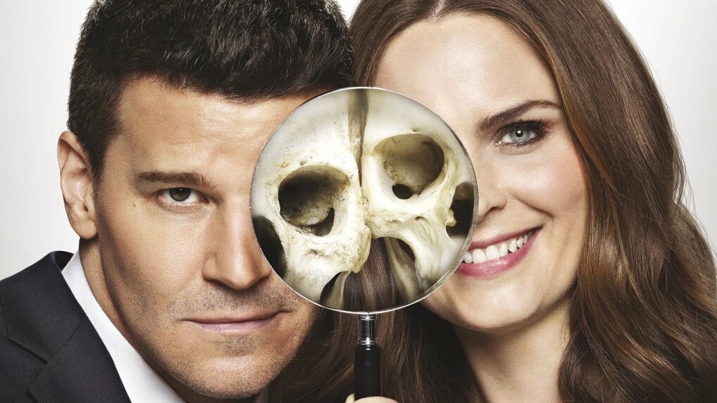 Bones Die Knochenjägerin Staffeln und Episodenguide NETZWELT