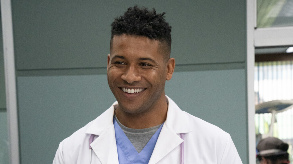 Dr. Doogie Kamealoha Staffeln und Episodenguide Disney+ NETZWELT