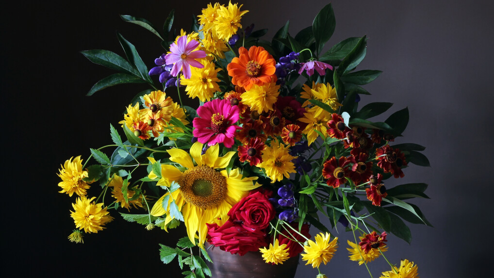 Blumenversand Das Sind Die Besten Online Blumenhändler Netzwelt