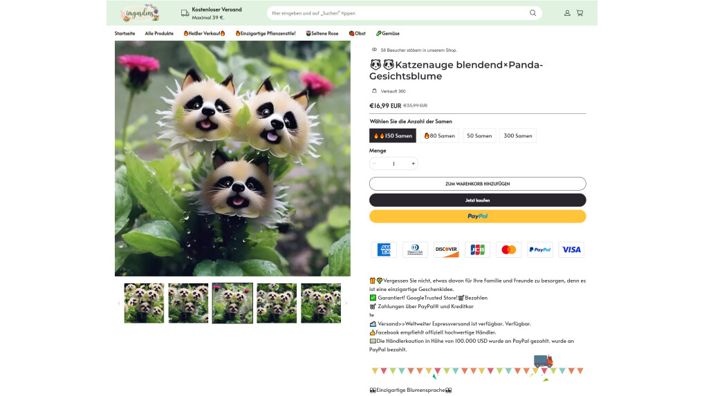 Abzocke mit KIPflanzen Das steckt hinter der "KatzenaugenBlumen