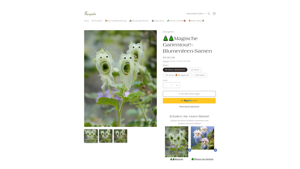 Abzocke mit KIPflanzen Das steckt hinter der "KatzenaugenBlumen