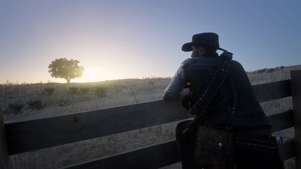 Red Dead Redemption 2 Alle Cheats eingeben PC, PS4, Xbox One NETZWELT
